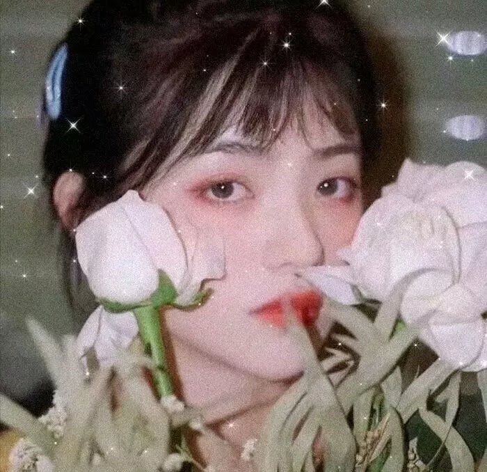 彩凤春情