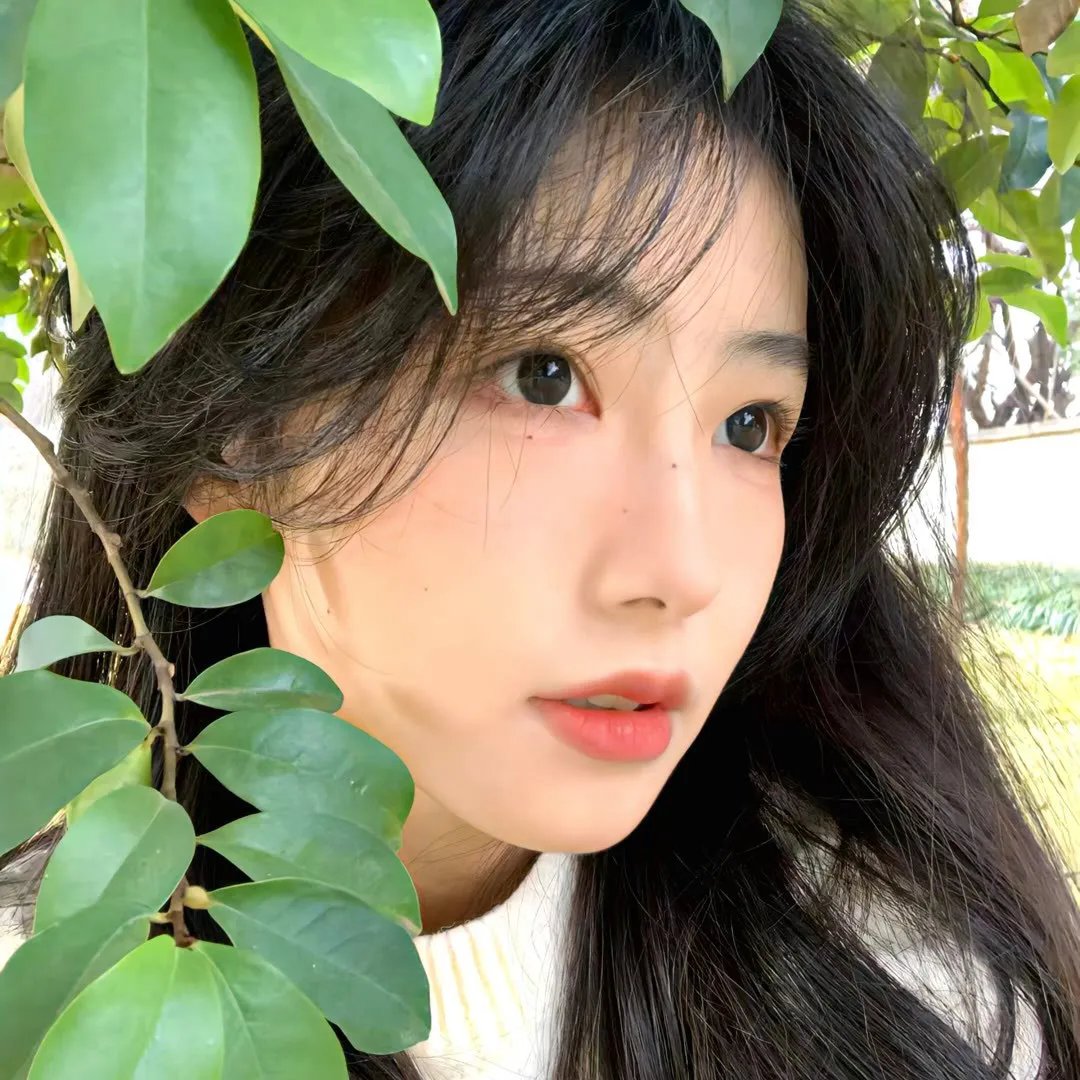爱之歌